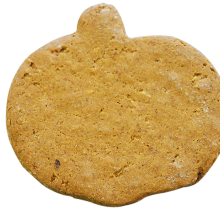 rosies pumpkin