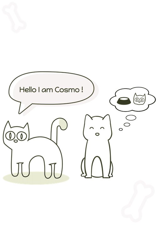 cosmo the cat