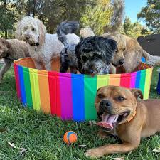 poolpawty